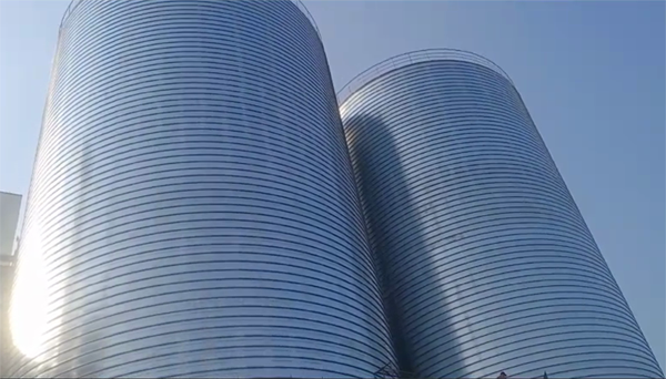 汤阴2座混凝土高架卷板仓